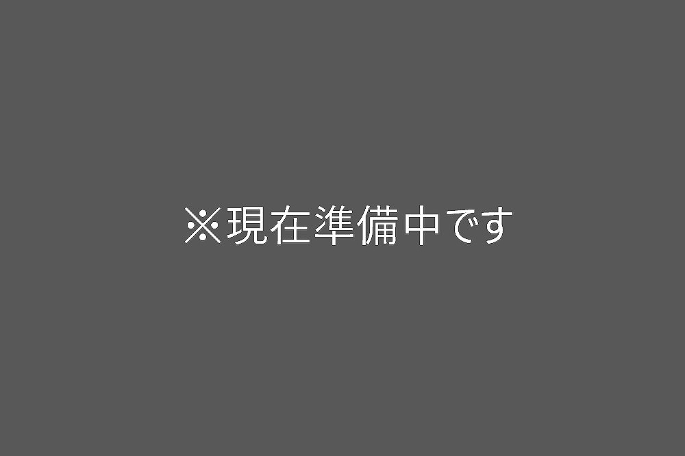 開園 園児登園