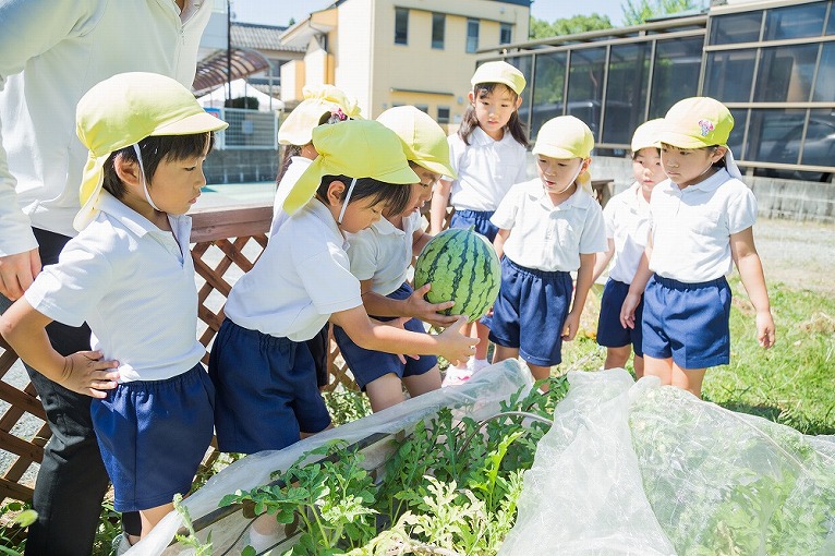 設定保育・年齢別活動・集団活動